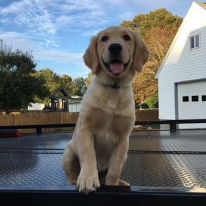 Meet your Posher, Mallory